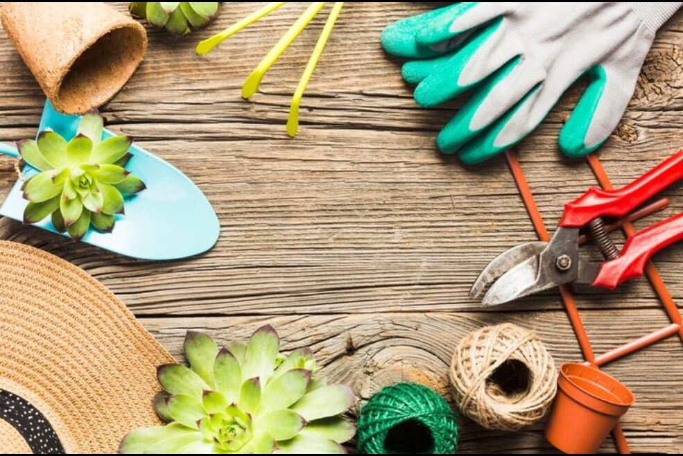 Bricolage et Jardinage